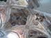 SAM_1428
