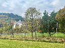 2025_zeltweg%20a%20(6)